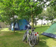 Sfeerimpressie camping - Camping &rsquo;t Haldert